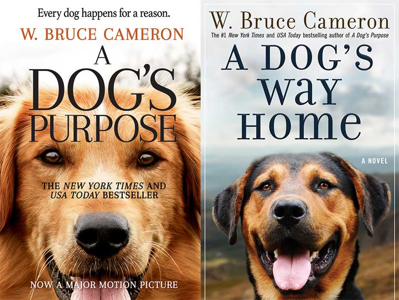 A dog's best sale journey novel